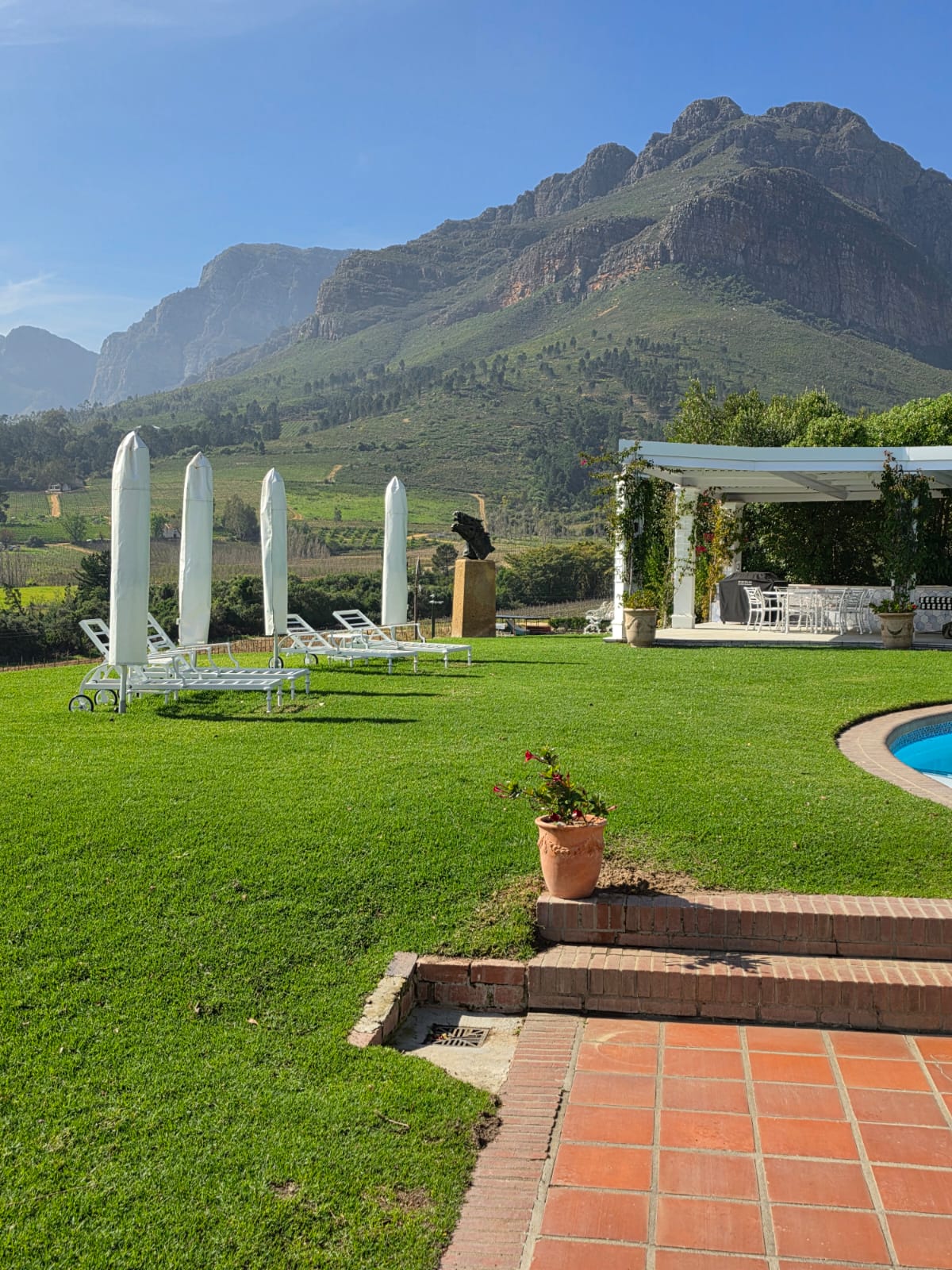 Lawn and pool - Merle's Garden service Paarl