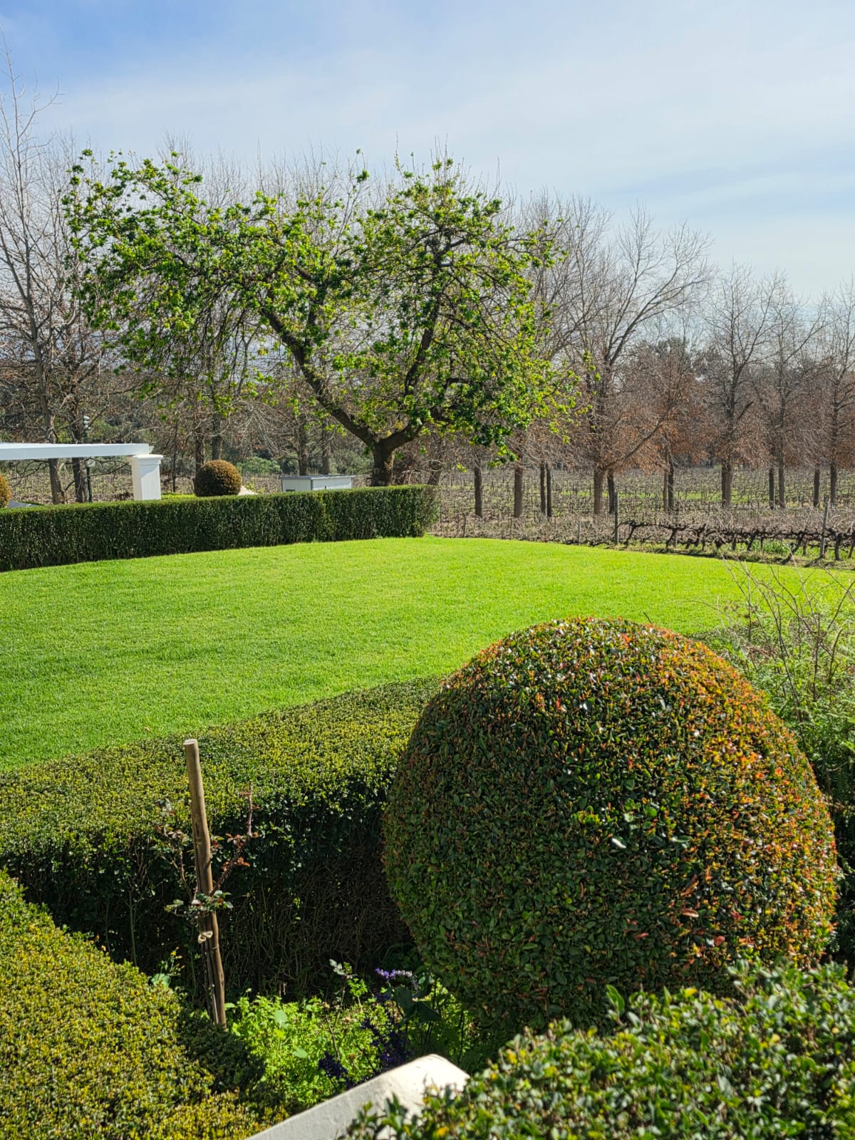 creative landscaping - Merle's Garden service Paarl
