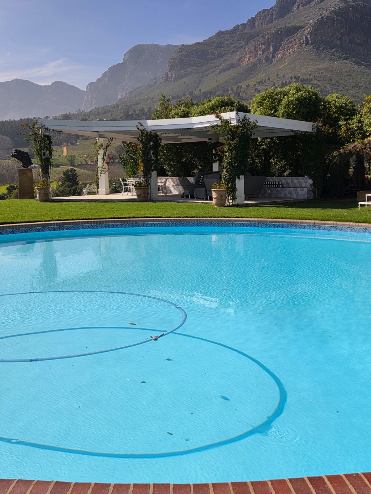 Perfect lawn for a pool - Merle's Garden service Paarl