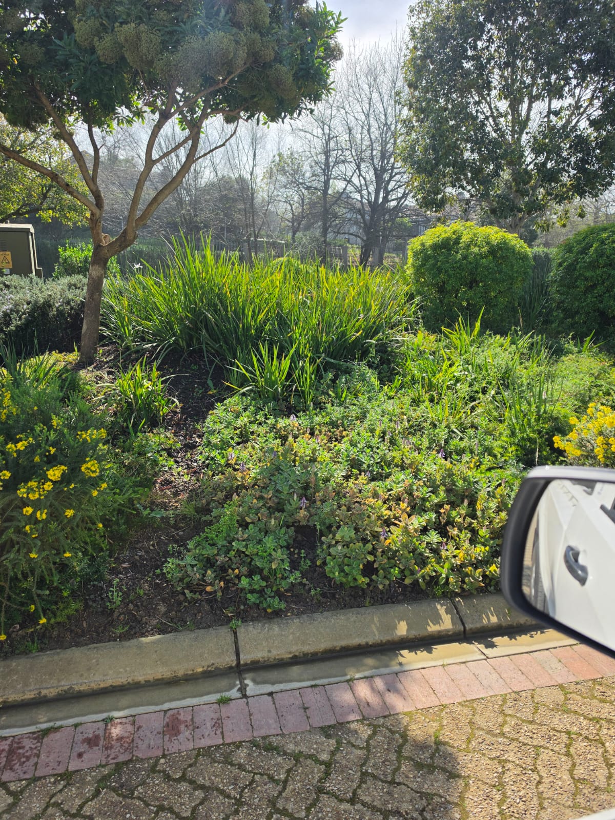 manicured garden - Merle's Garden service Paarl