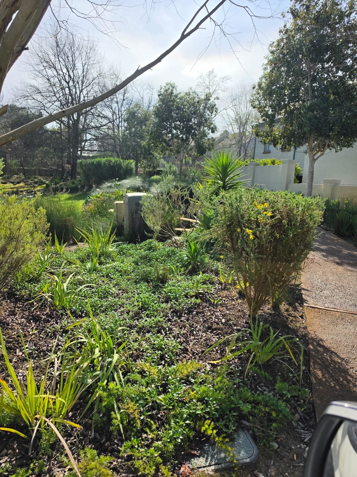 manicured garden 2 - Merle's Garden service Paarl