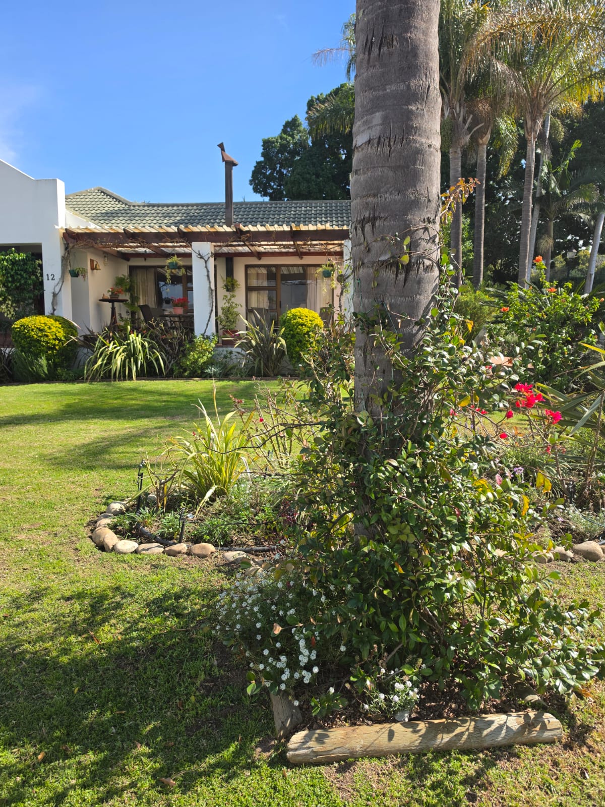front garden - Merle's Garden service Paarl