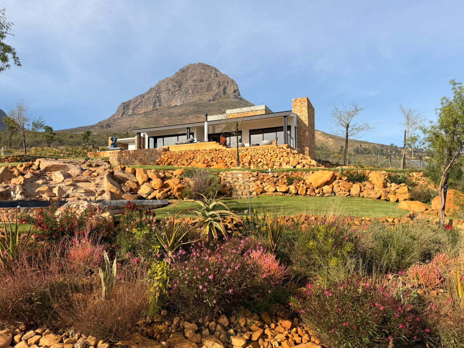 indigenous landscaping 2 - Merle's Garden service Paarl