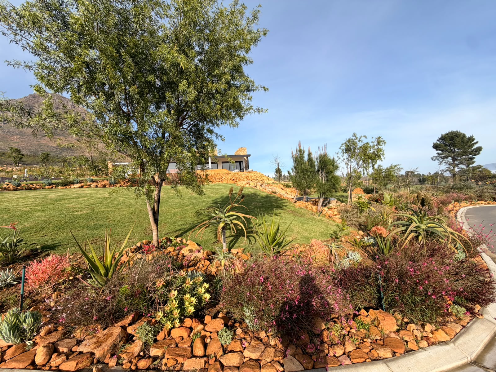 Rock garden - Merle's Garden service Paarl
