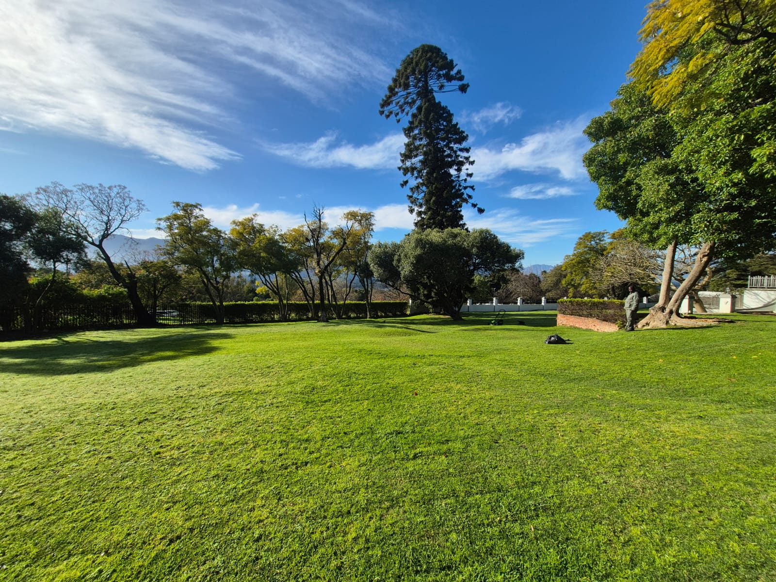 Perfect lawns - Merle's Garden service Paarl