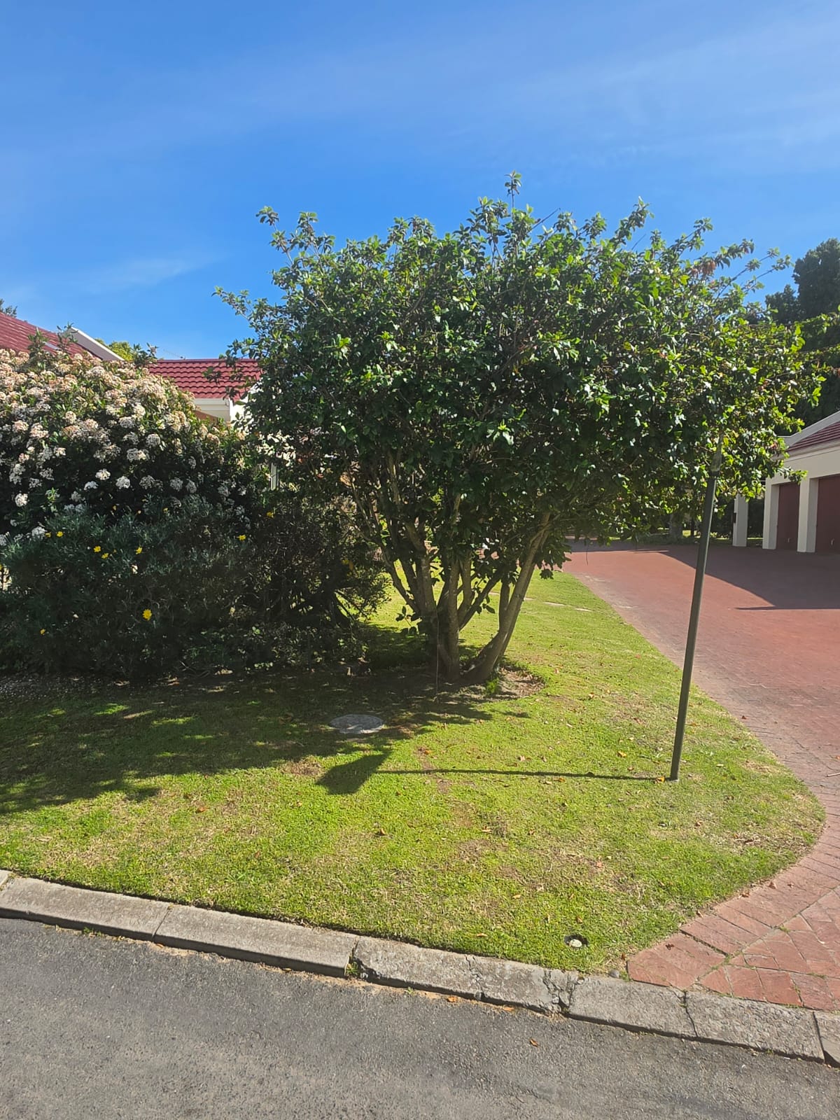 lawn edging - Merle's Garden service Paarl