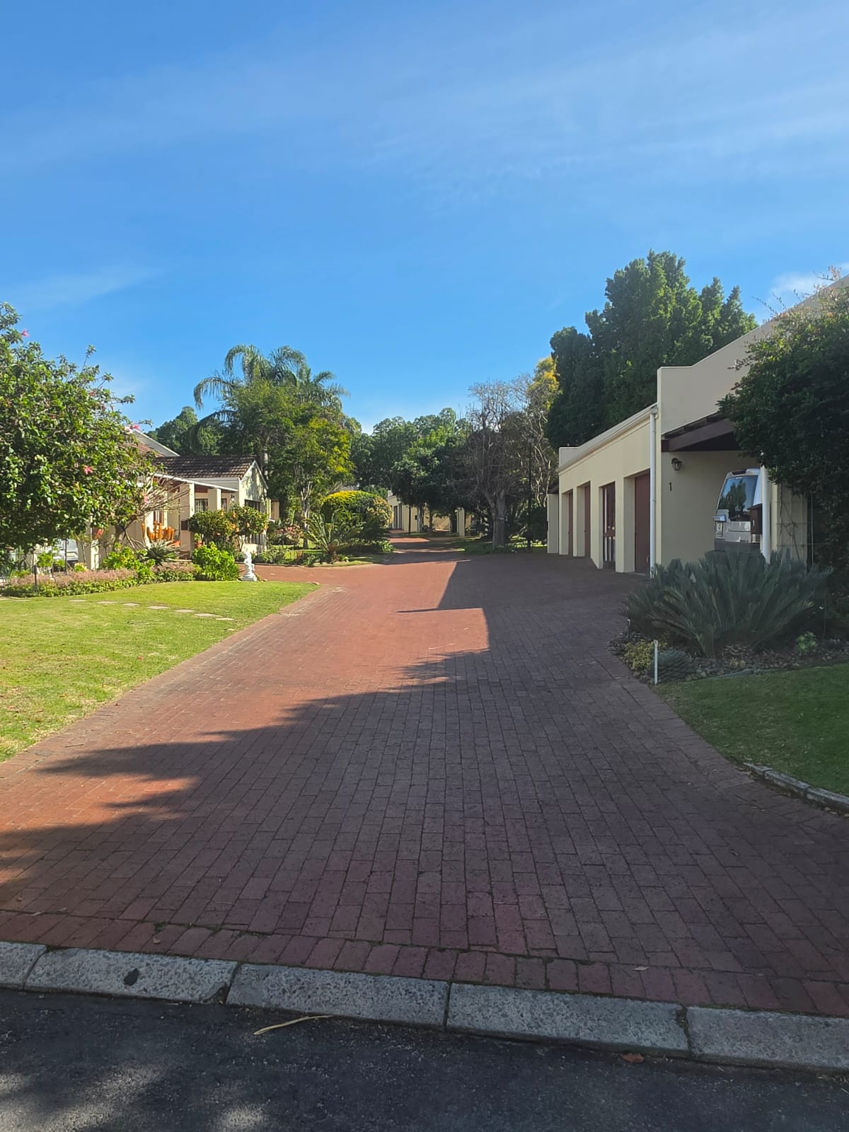 complex driveway edging - Merle's Garden service Paarl