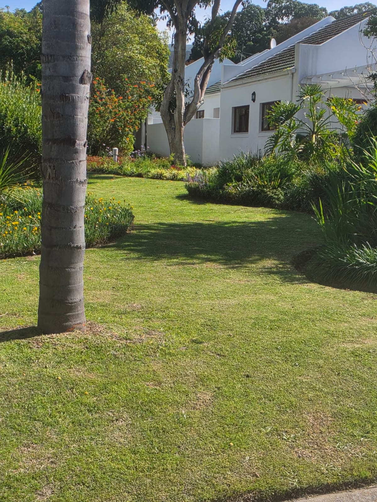 lawn care and edging - Merle's Garden service Paarl